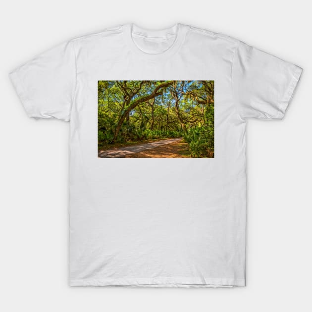 Cumberland Island National Seashore T-Shirt by Gestalt Imagery